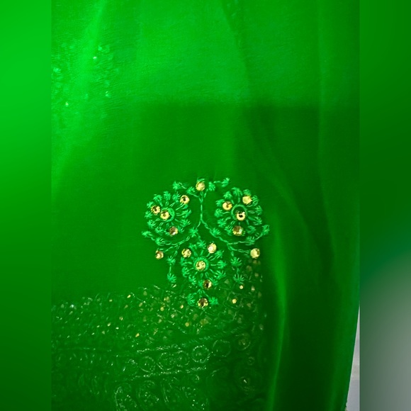 Parrot green georgette heavy saree - Picture 7 of 7